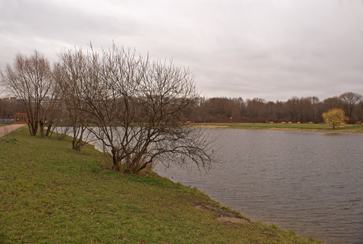 542778 (a): :1793x1200